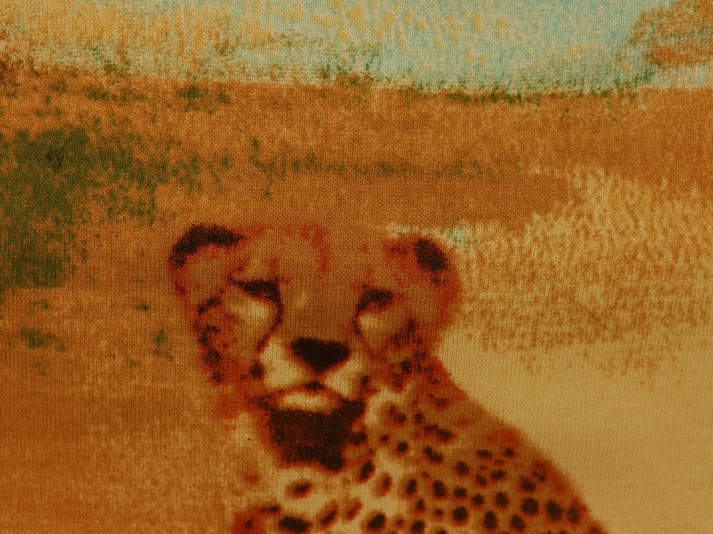 Printed Viscose Jersey Fabric - Safari