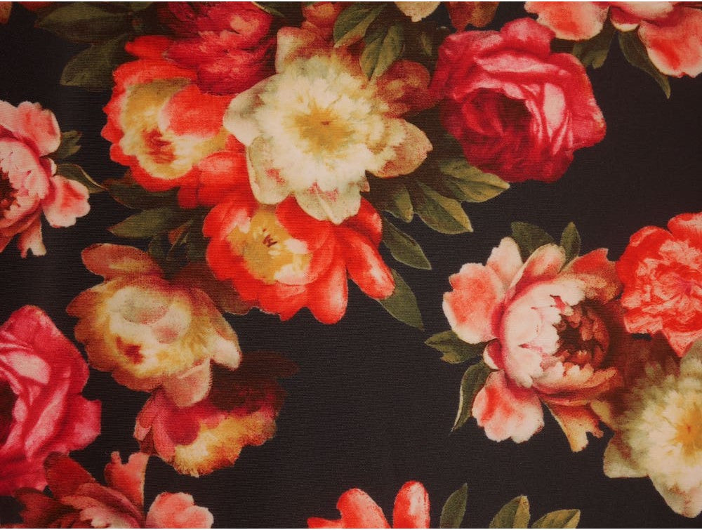 Double Jersey Scuba - Flower Bloom