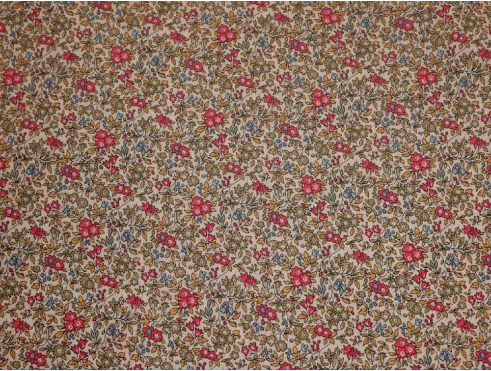 Printed Cotton Poplin - Vintage