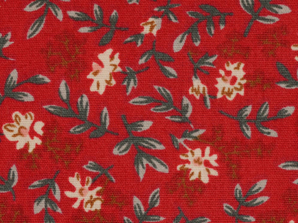 Printed Cotton Poplin - Burgundy Red Ditsy Daisy