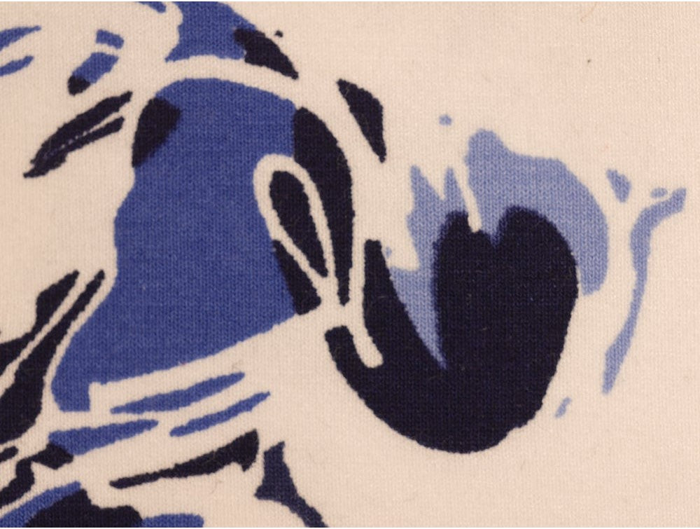 Printed Viscose Jersey Fabric - Blue Rose