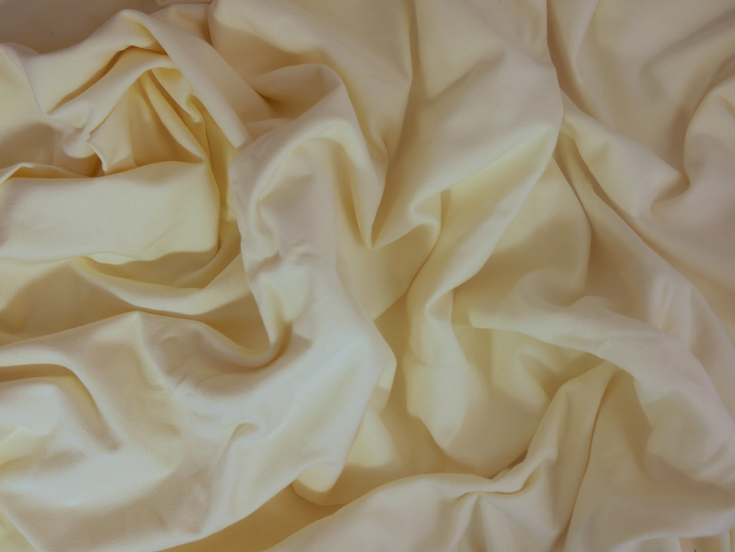Single Cotton Jersey - Ivory 0.65 Metre Remnant