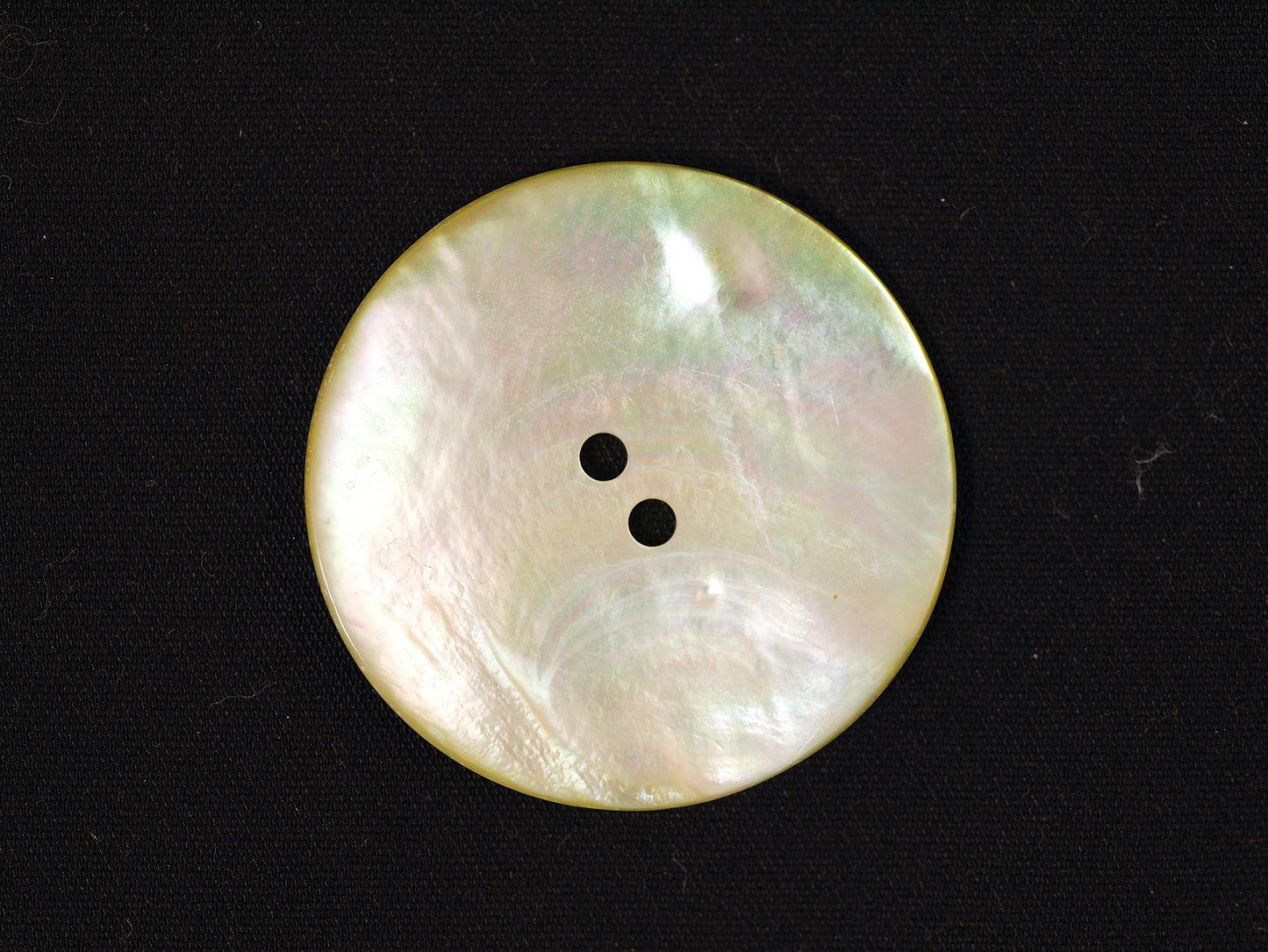 34mm Natural Agoya Shell 2 Hole Button