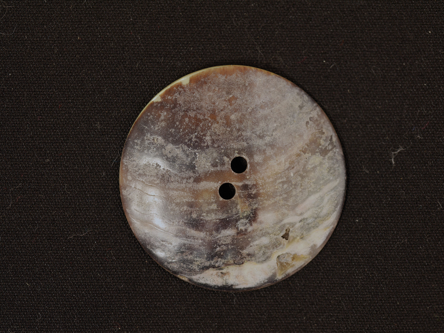 34mm Natural Agoya Shell 2 Hole Button