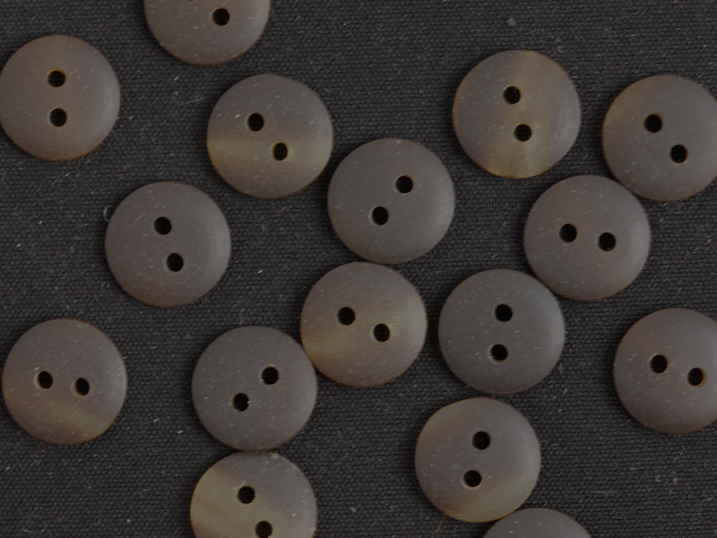 11mm Flat Horn Effect 2 Hole Button