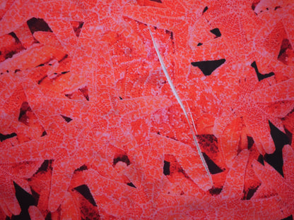 Starfish Woven Polyester - 1.5 Metre Remnant FAULTY