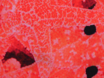 Starfish Woven Polyester - 1.5 Metre Remnant FAULTY