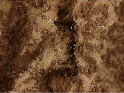 Luxury Coating Fabric - Cream 2 Metre Remnant