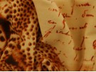 Printed Viscose Jersey Fabric - Safari