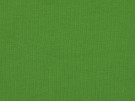 Single Jersey Fabric - Apple Green